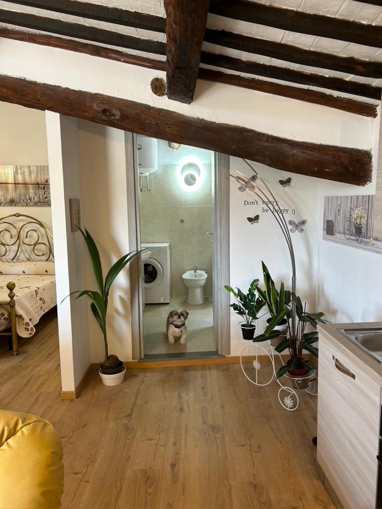 Bagnoregio Apartment You&Me Exterior photo
